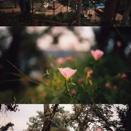 къщички синьо лято, черноморец - - Blue Summer Tatil Evi