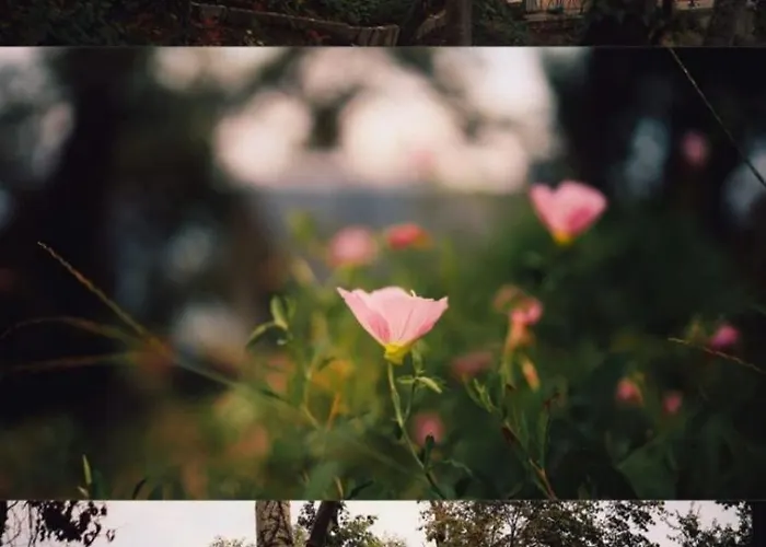 къщички синьо лято, черноморец - - Blue Summer Casa de Férias