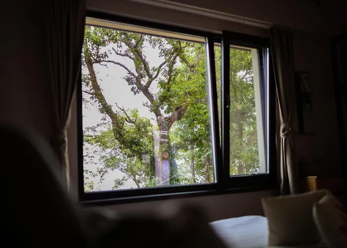 къщички синьо лято, черноморец - - Blue Summer * Varna